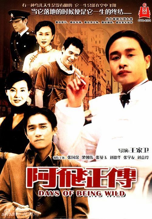 支付宝国际驾照认领件